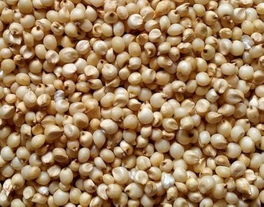 Ragi flour and a processed millet product