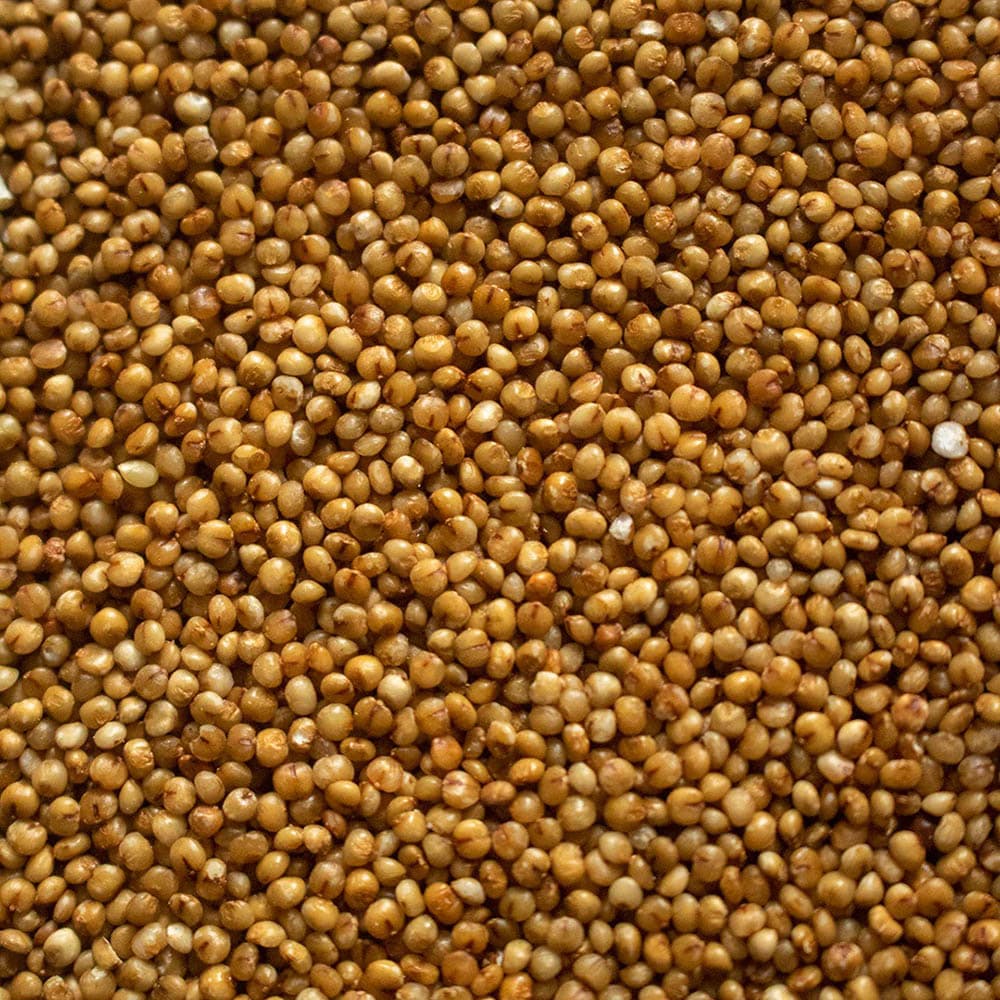 Kodo millet racemes on the plant